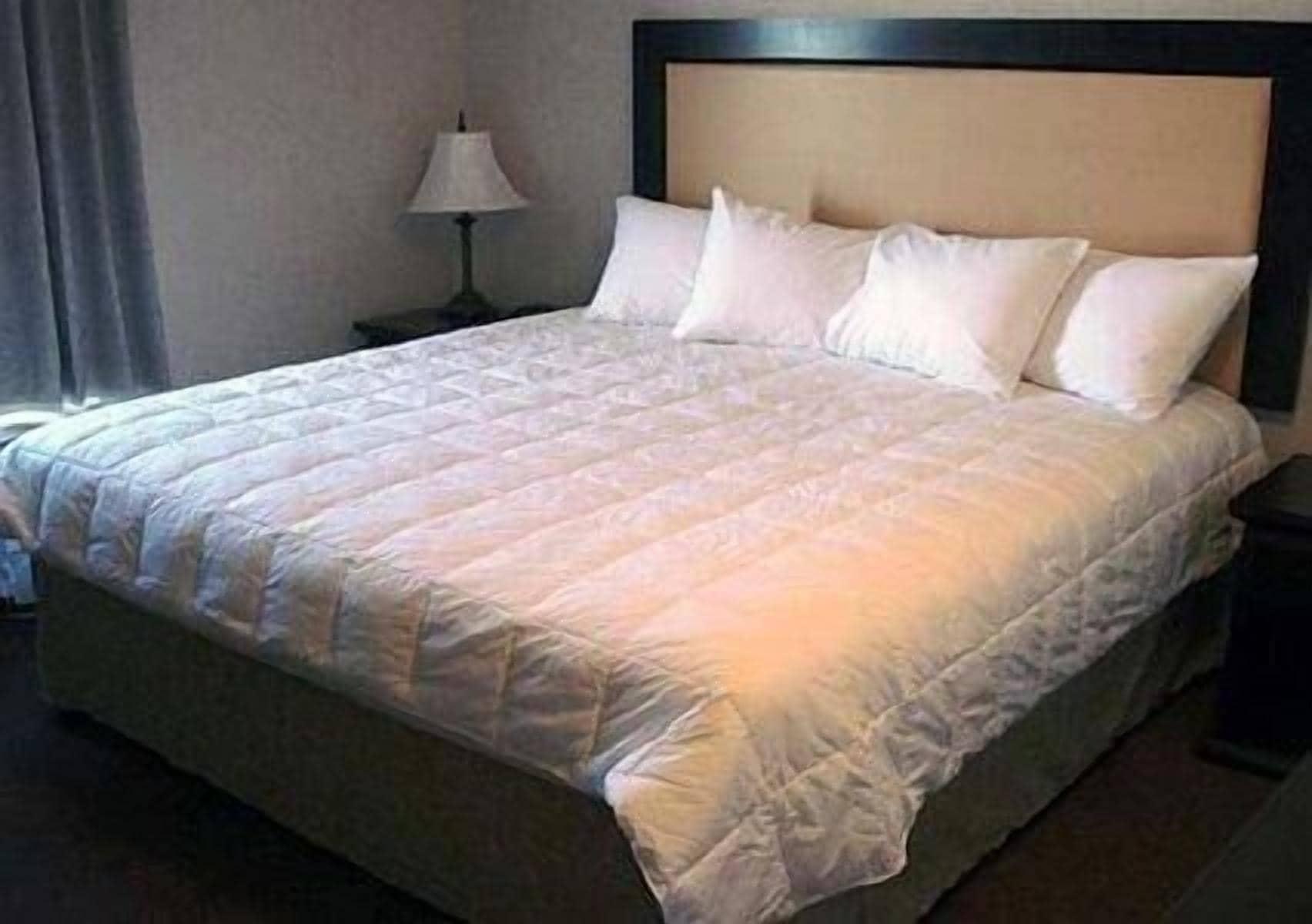 Quality & Hotel 3*
